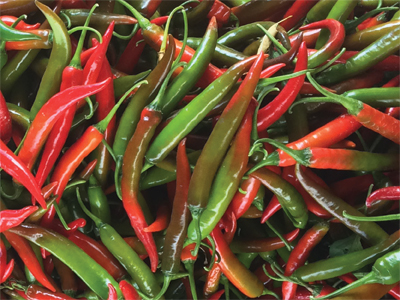 “chilli1”